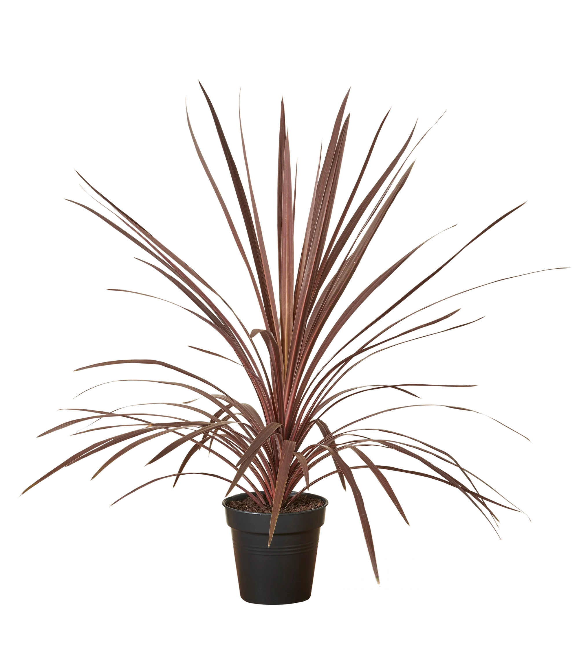 Produktbild 2