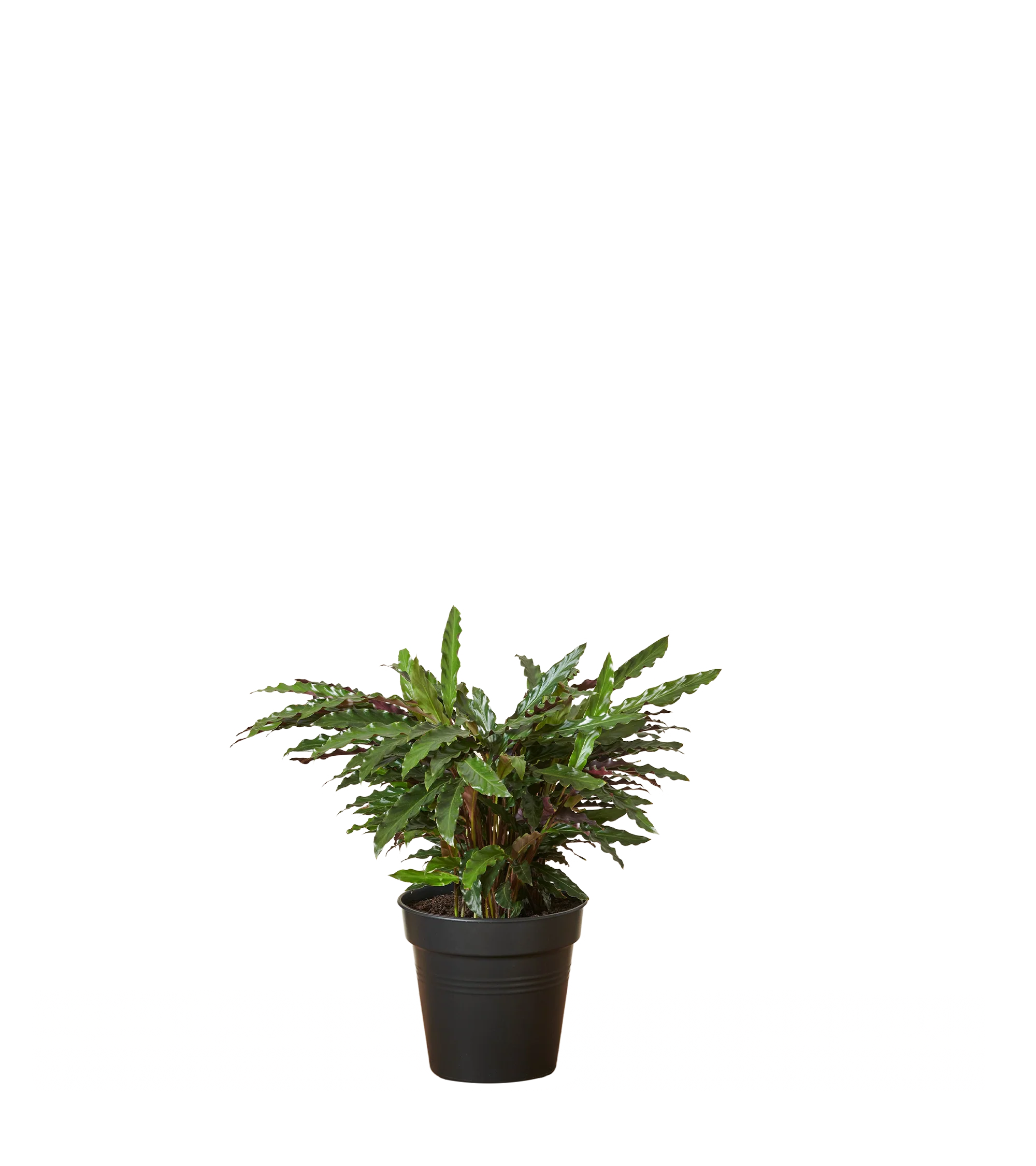 Produktbild 2
