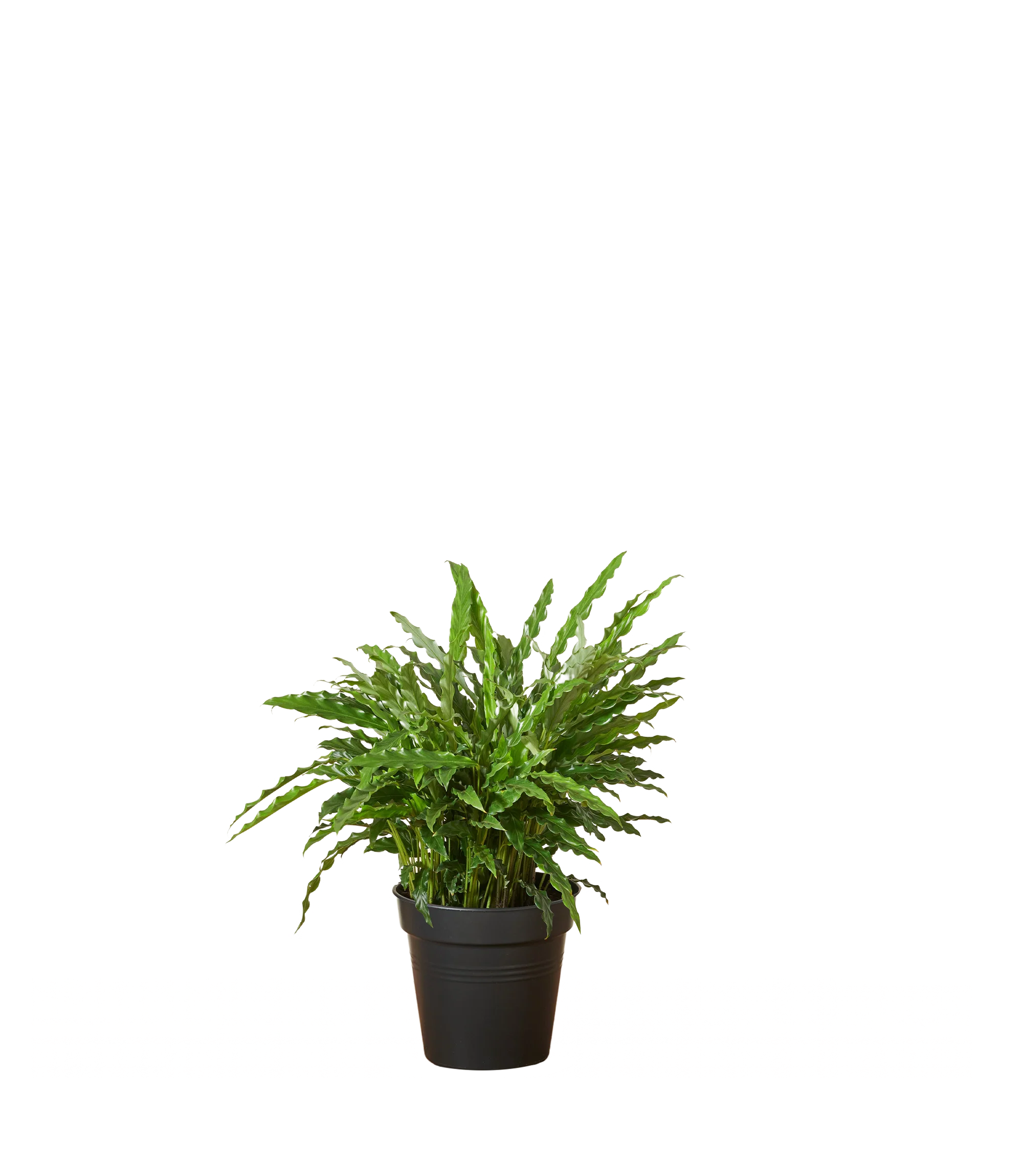 Produktbild 2