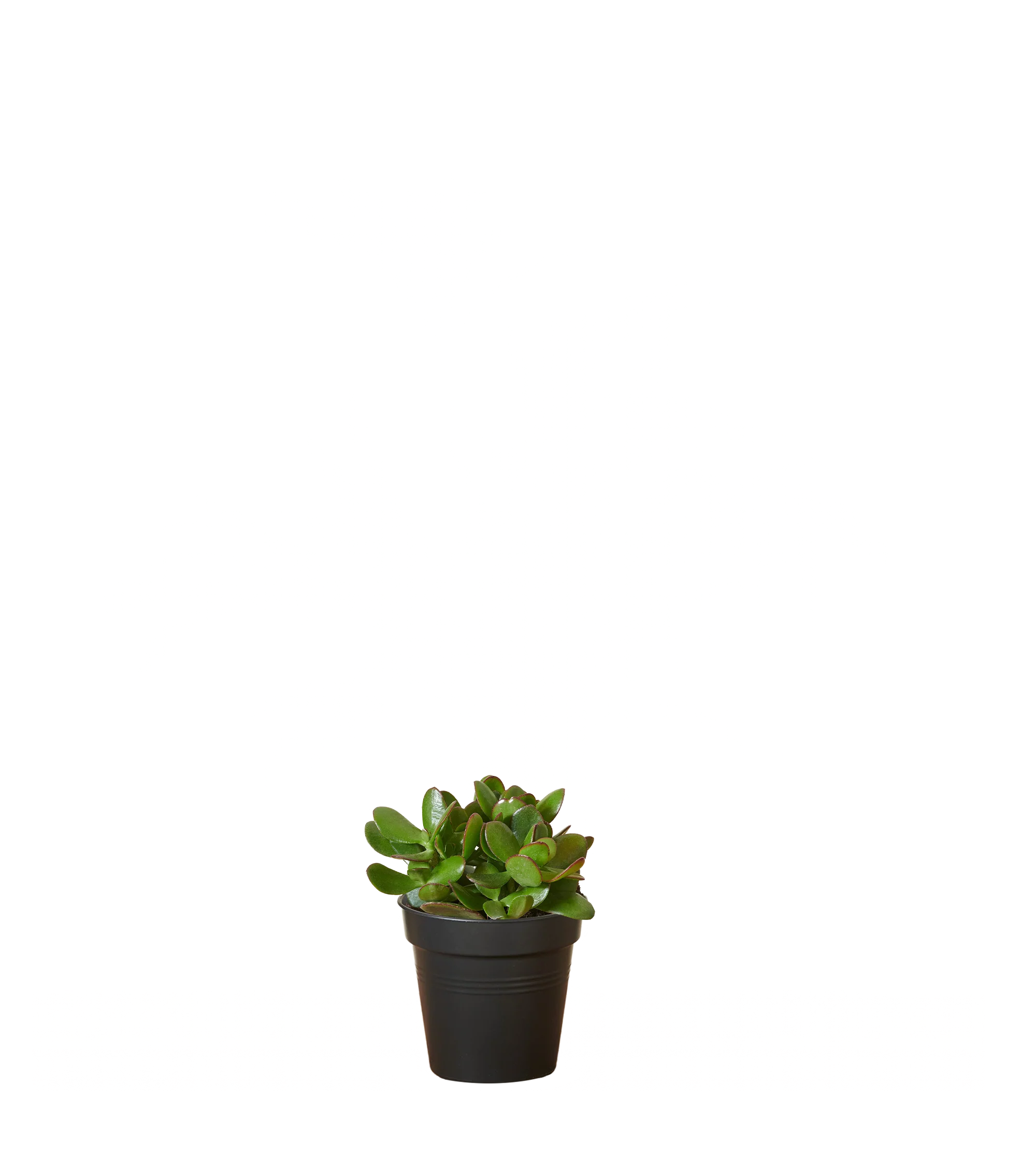 Produktbild 2