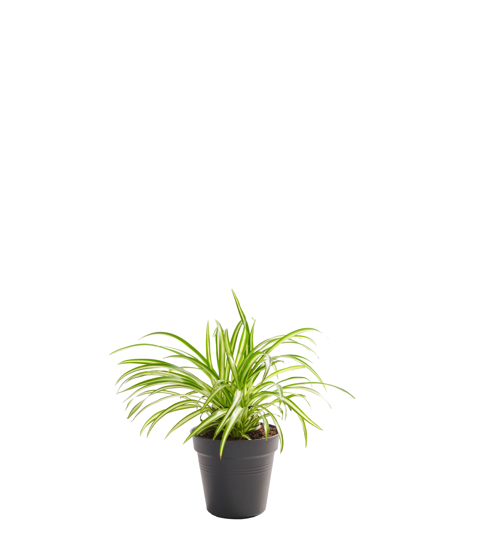 Produktbild 2