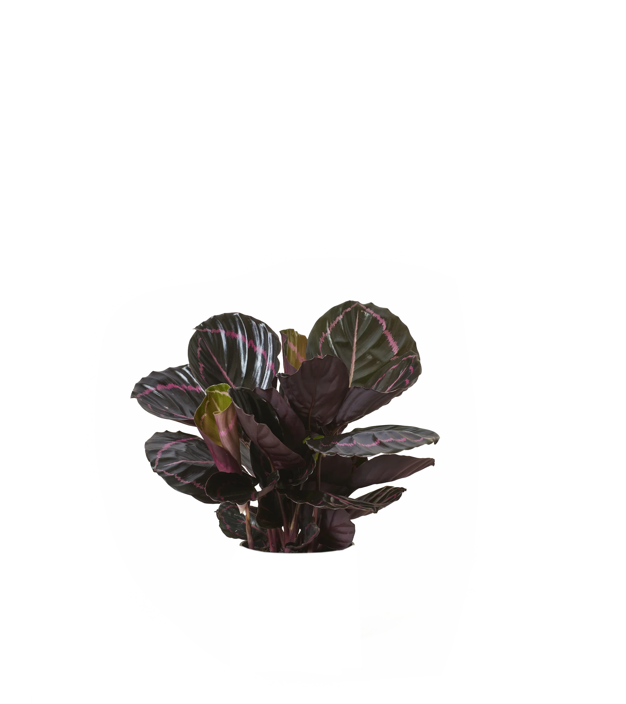 Produktbild 2