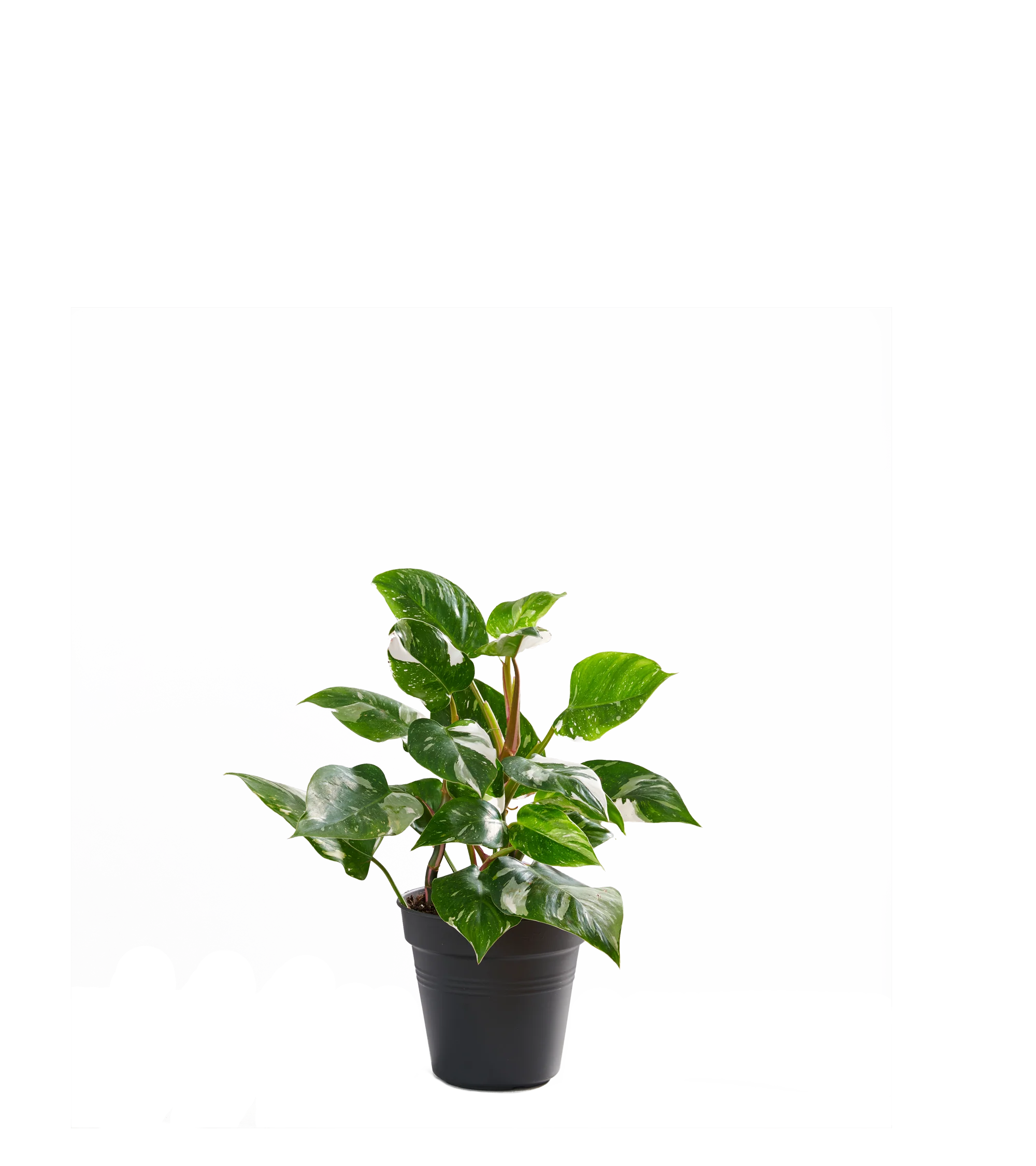 Produktbild 2