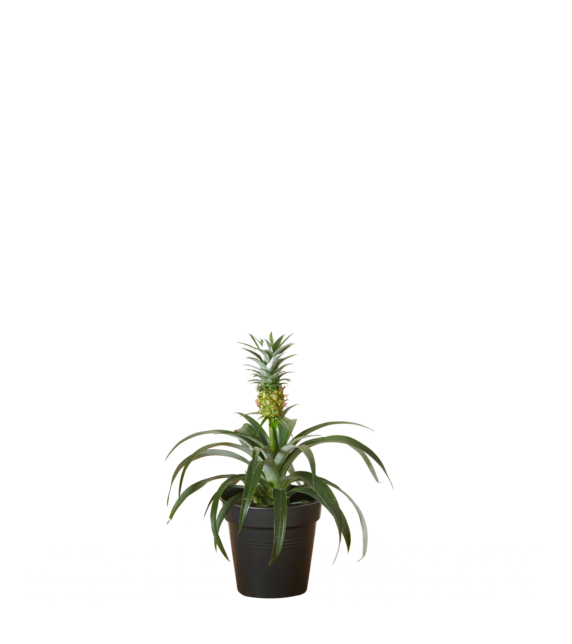 Produktbild 2