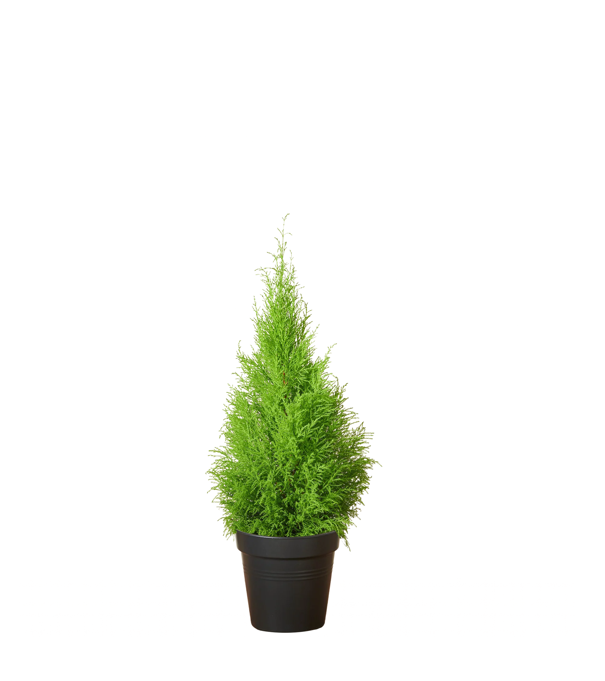 Produktbild 2