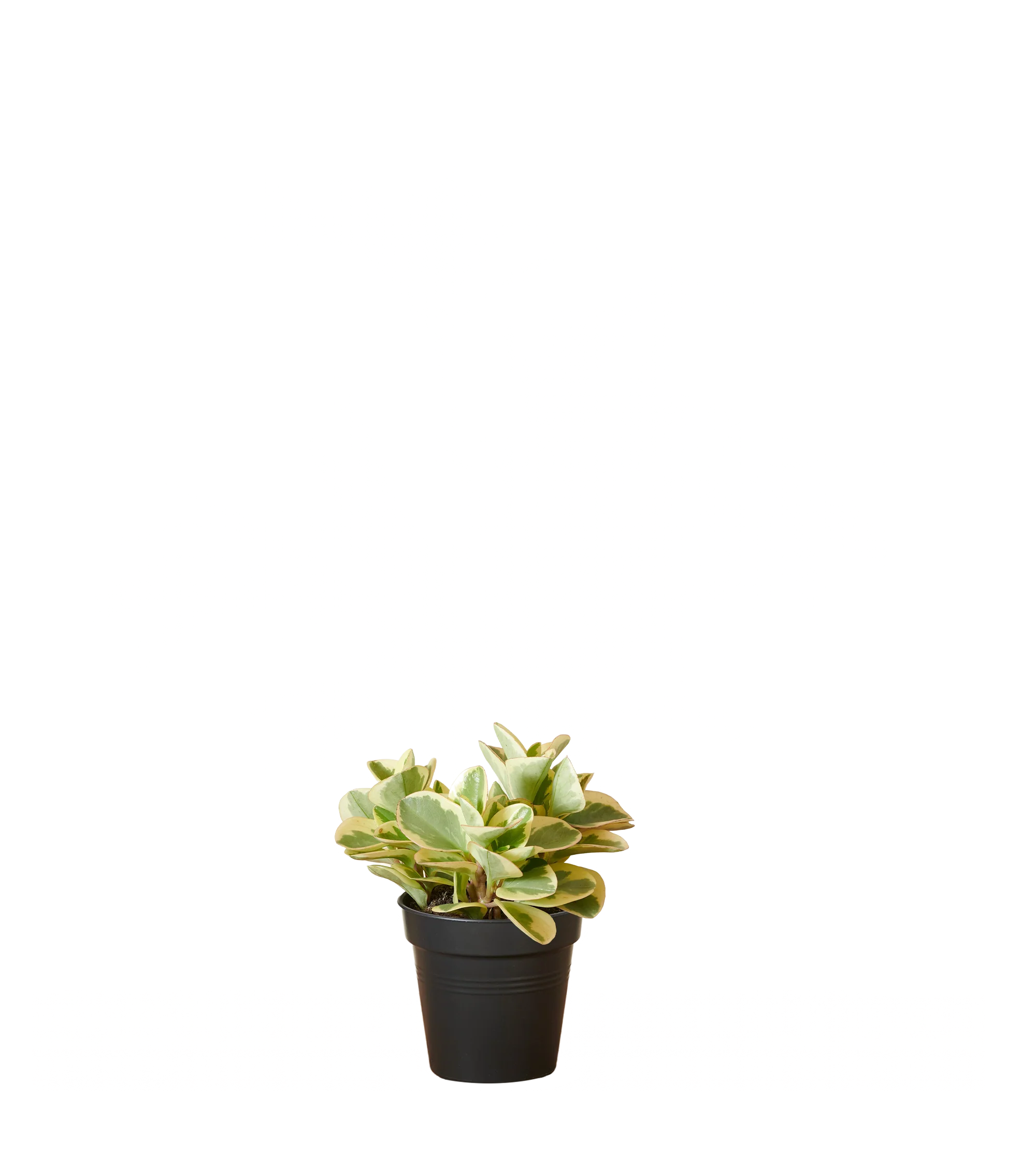 Produktbild 2