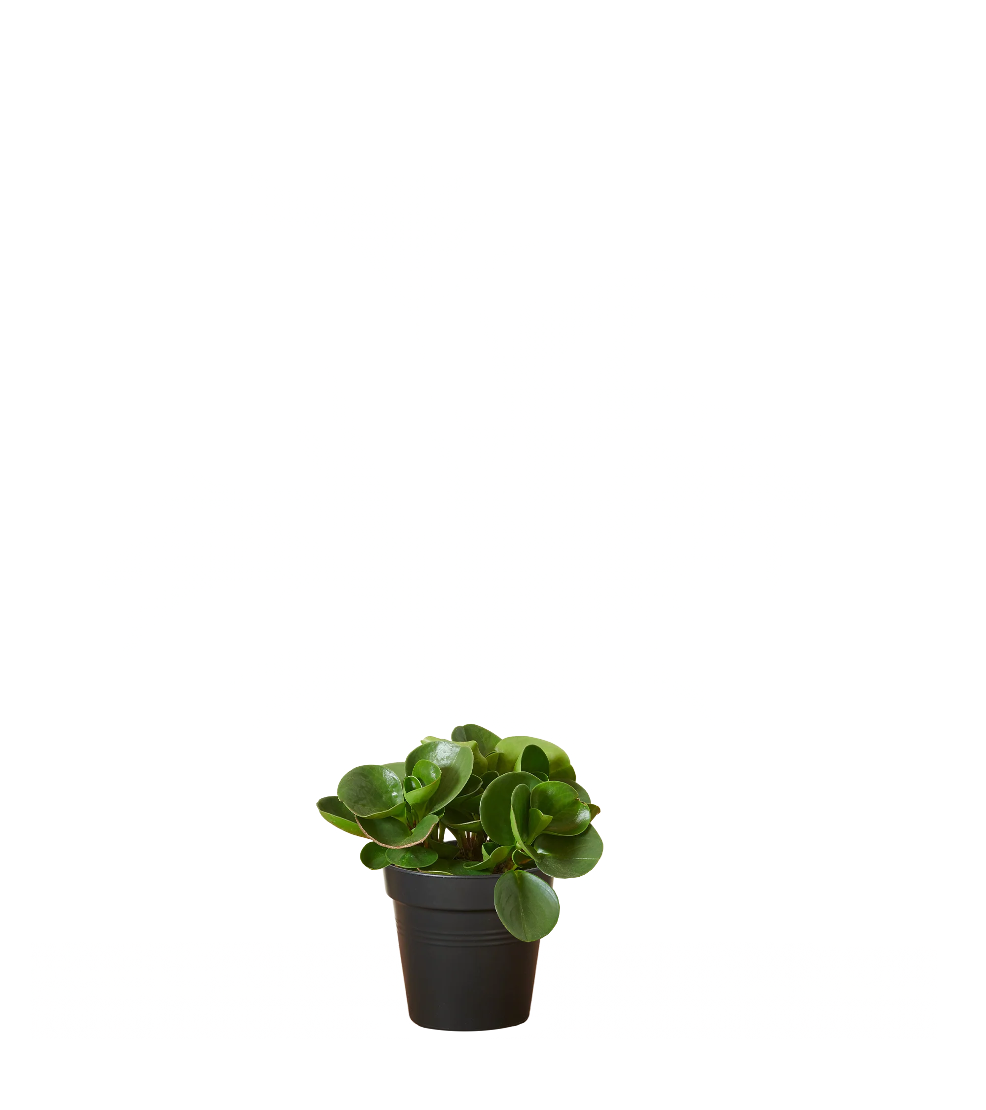 Produktbild 9